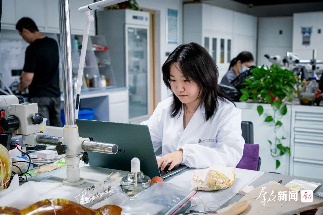 杨天时正在整理文物档案。